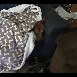 Meet your Posher, Ken